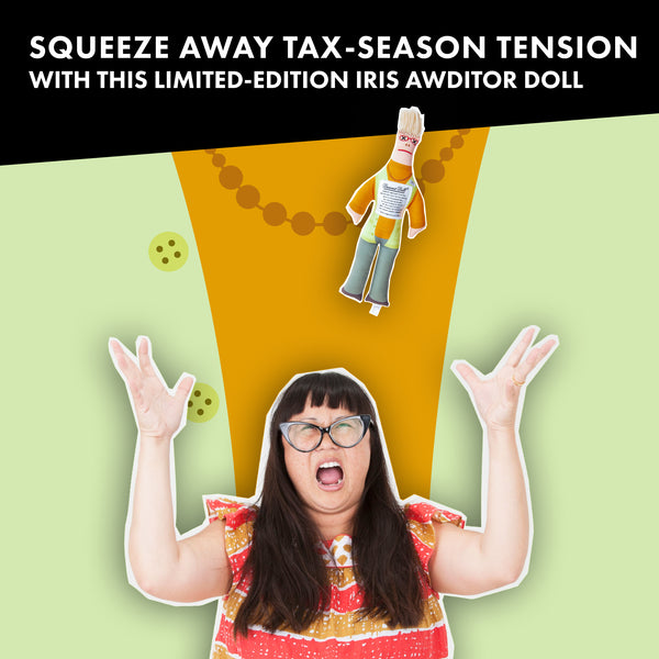 IRS Auditor
