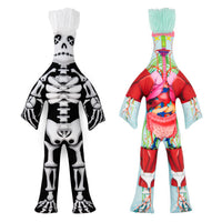 The Bodies Exhibit Bundle